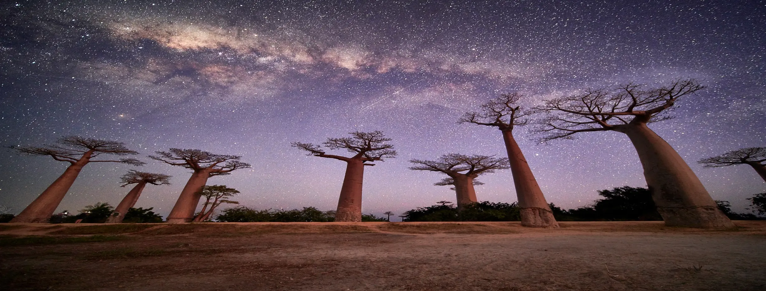 Image for Baobab Photography